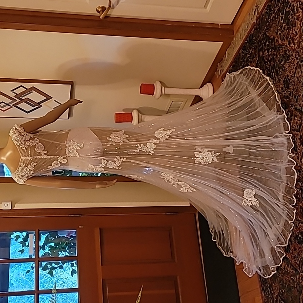 Elegant Sheer Lace Evening Gown